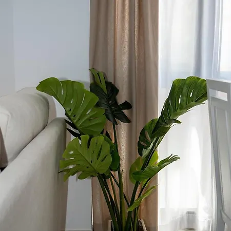 Apartment Waves Centro